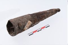 Foto von Eisenlanzenschuh (NHMW-PRAE-070978)